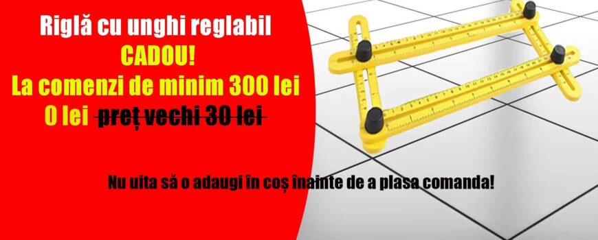 24 februarie 2023-oferta saptamanii nivelare.ro